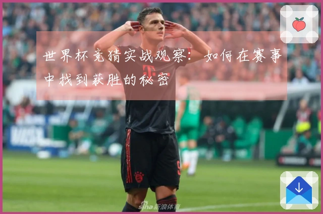 世界杯竞猜实战观察：如何在赛事中找到获胜的秘密
