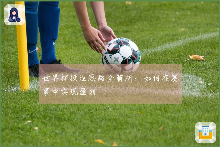 世界杯投注思路全解析，如何在赛事中实现盈利