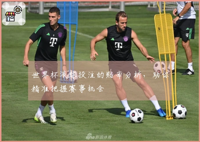 世界杯滚球投注的赔率分析，助你精准把握赛事机会
